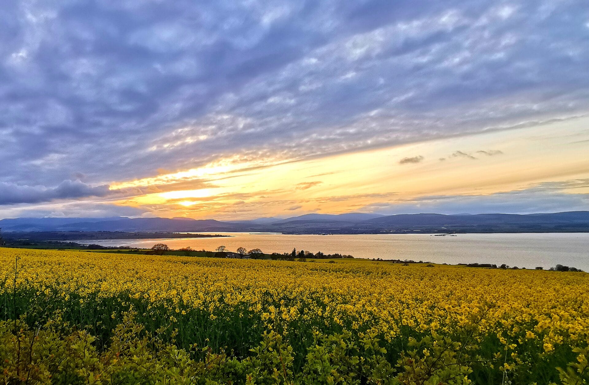 Contact - Cromarty Camping